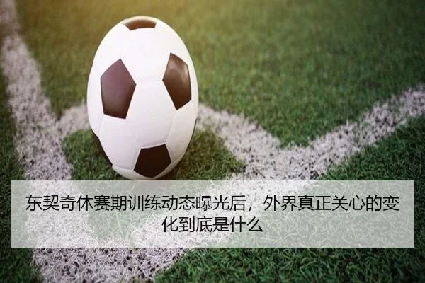 东契奇休赛期训练动态曝光后，外界真正关心的变化到底是什么 - feifanyule